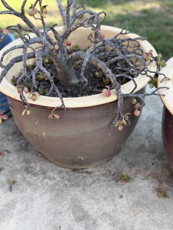 Sale Photo Thumbnail #132