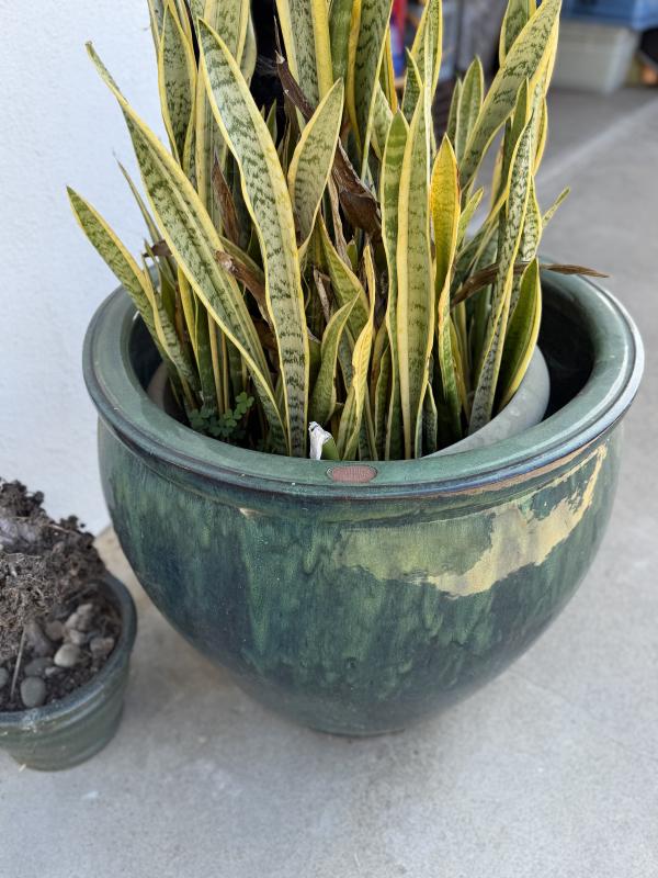 Sale Photo Thumbnail #99