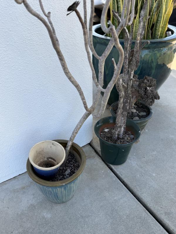 Sale Photo Thumbnail #100