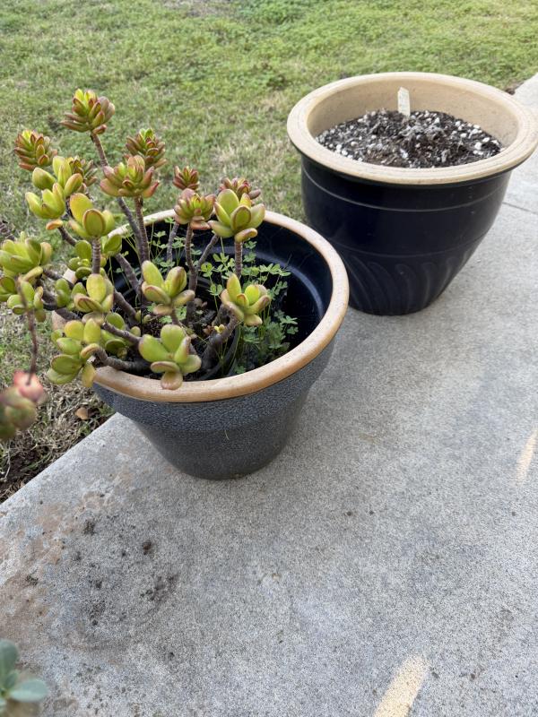 Sale Photo Thumbnail #58