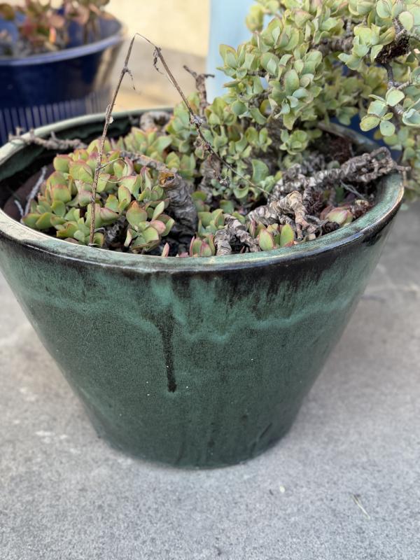 Sale Photo Thumbnail #118