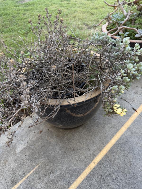 Sale Photo Thumbnail #60