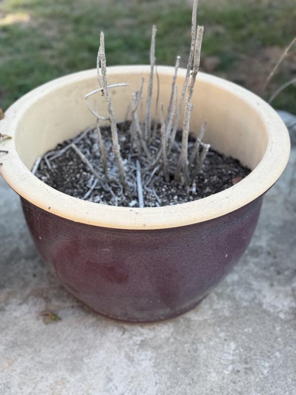 Sale Photo Thumbnail #131