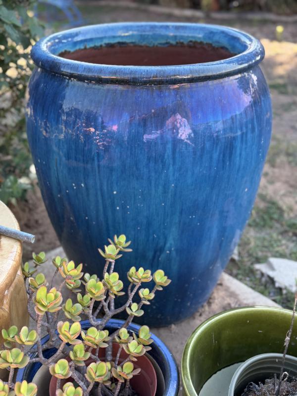 Sale Photo Thumbnail #122