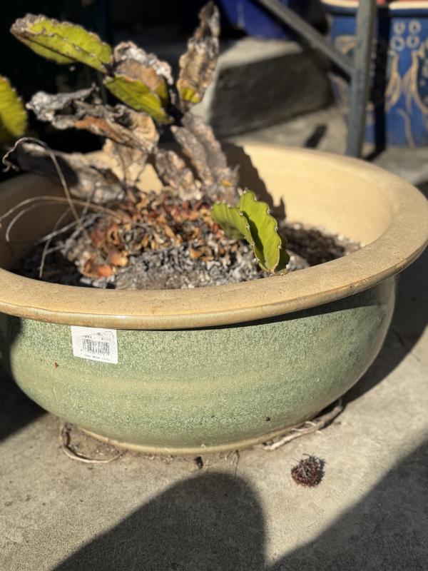 Sale Photo Thumbnail #115