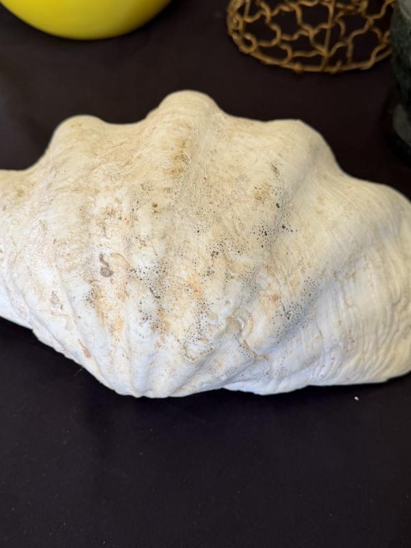 Sale Photo Thumbnail #287