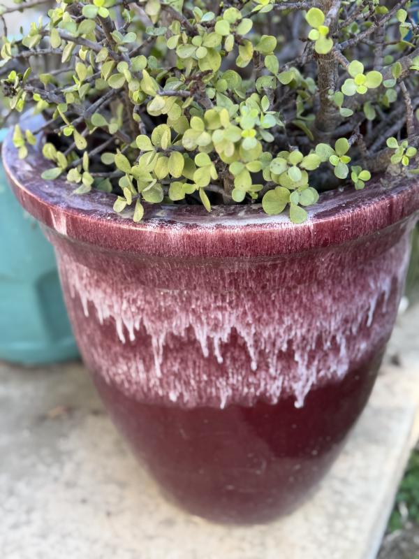 Sale Photo Thumbnail #121