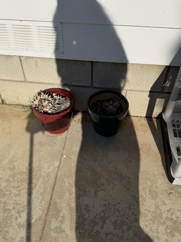 Sale Photo Thumbnail #105