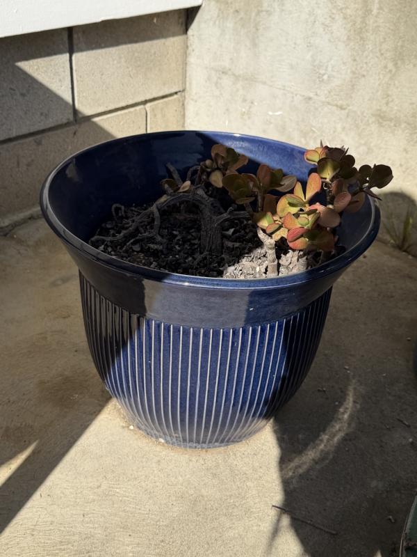 Sale Photo Thumbnail #209