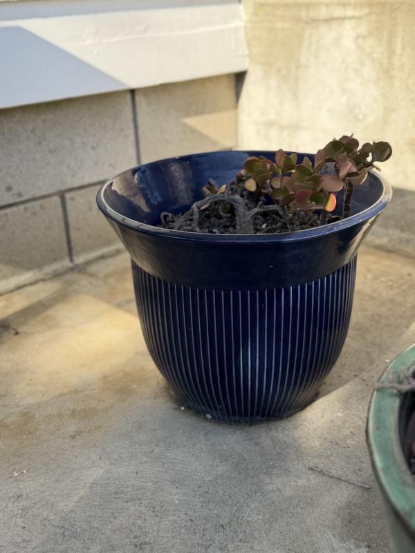 Sale Photo Thumbnail #117