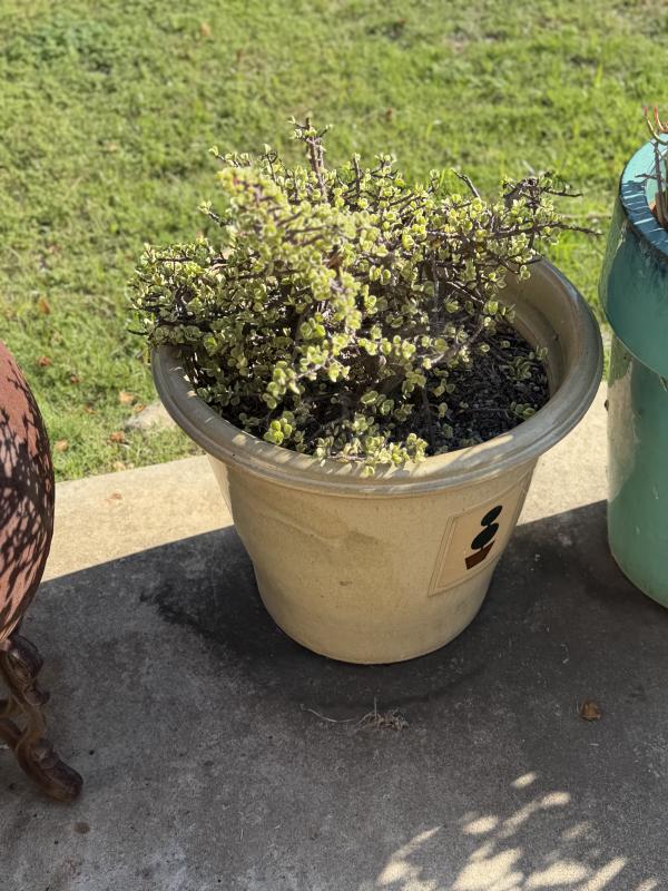 Sale Photo Thumbnail #135