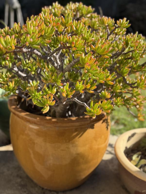 Sale Photo Thumbnail #137