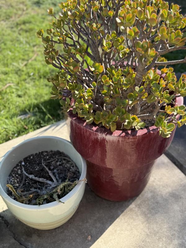 Sale Photo Thumbnail #134