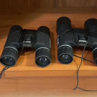 2 Bushnell Binoculars In Cases