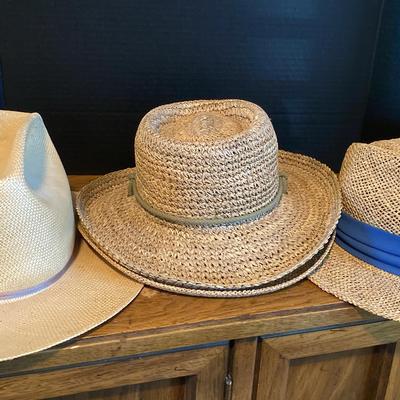 Collection Of Wide Brimmed Straw Hats