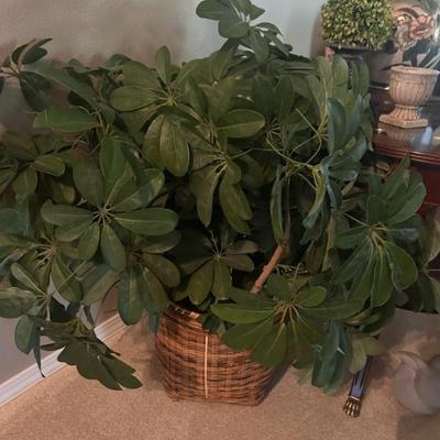 Sale Photo Thumbnail #5