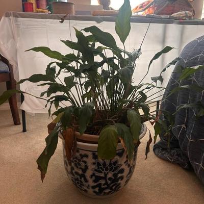 Sale Photo Thumbnail #125