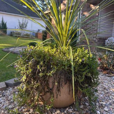 Sale Photo Thumbnail #137