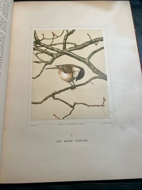 Sale Photo Thumbnail #316