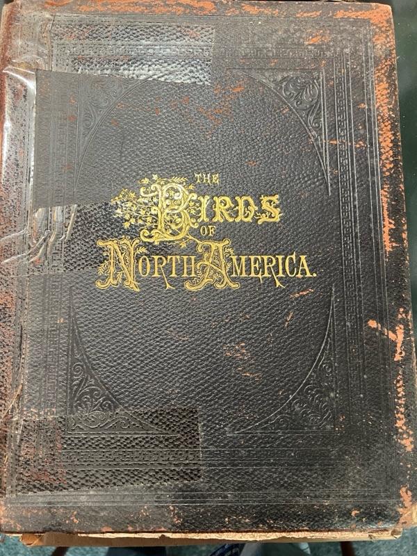 Sale Photo Thumbnail #274