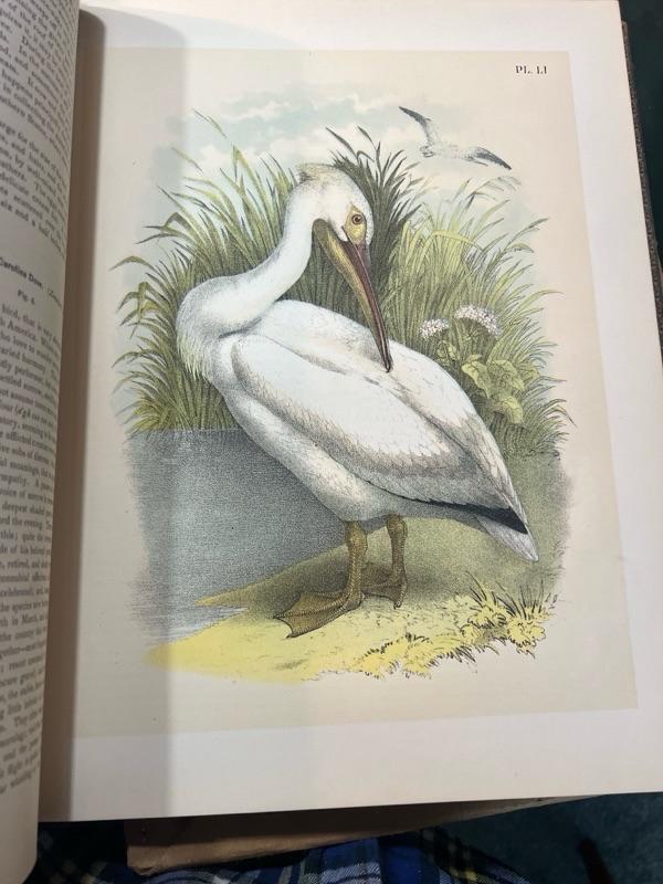 Sale Photo Thumbnail #278