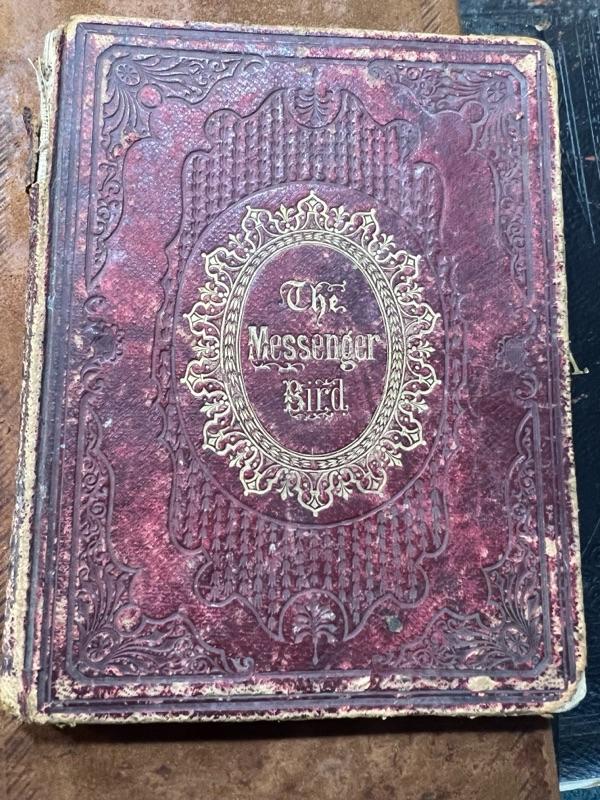 Sale Photo Thumbnail #280