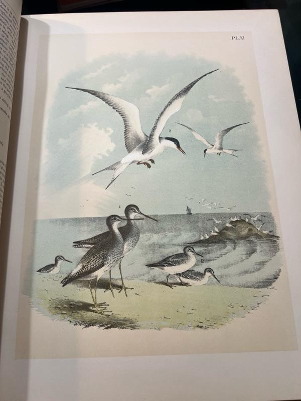 Sale Photo Thumbnail #276