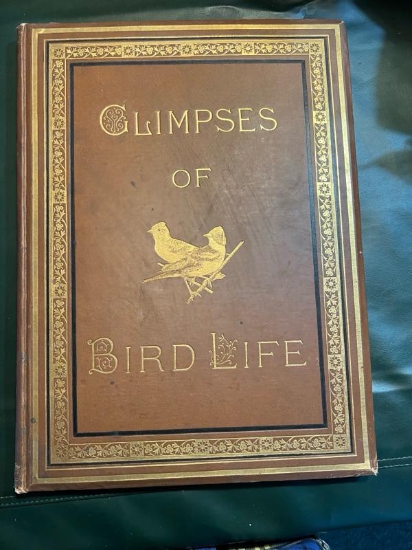 Sale Photo Thumbnail #314