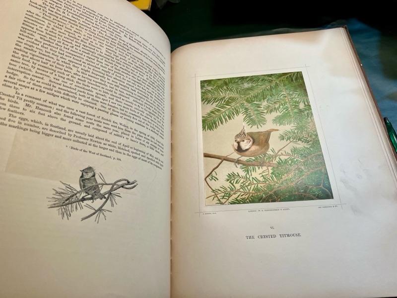 Sale Photo Thumbnail #318