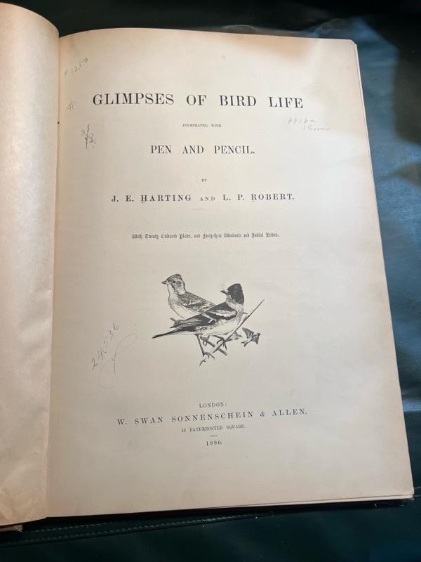 Sale Photo Thumbnail #315