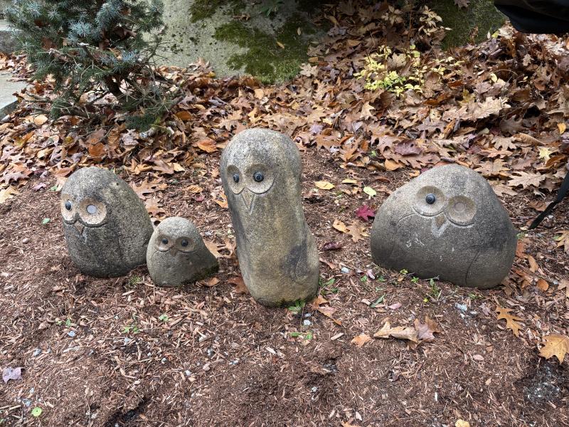 Sale Photo Thumbnail #367