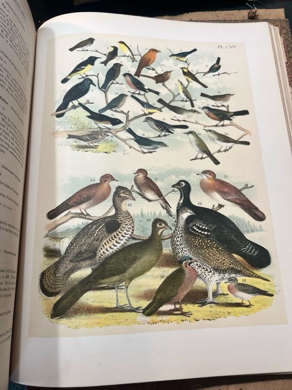 Sale Photo Thumbnail #279