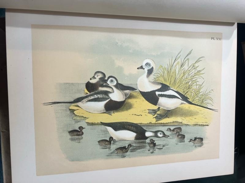 Sale Photo Thumbnail #277