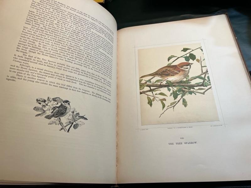 Sale Photo Thumbnail #317