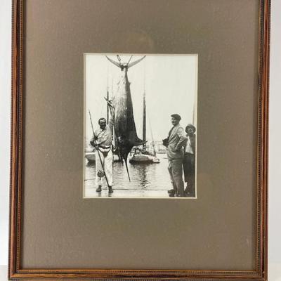 Sale Photo Thumbnail #437