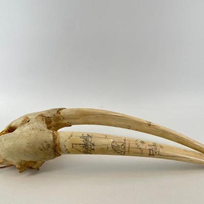 Sale Photo Thumbnail #11