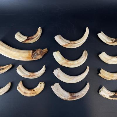 Sale Photo Thumbnail #29