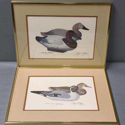 Sale Photo Thumbnail #526