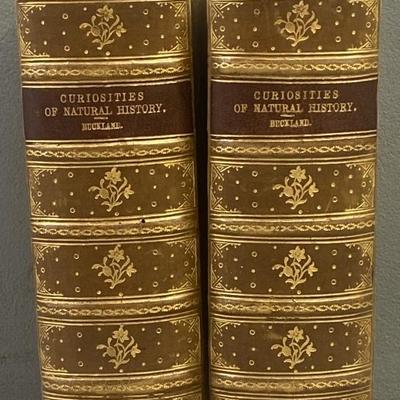 Sale Photo Thumbnail #222