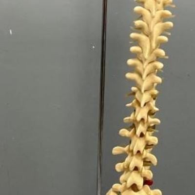 Sale Photo Thumbnail #62