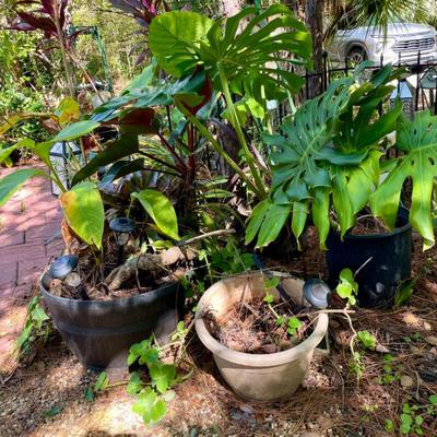 Sale Photo Thumbnail #172