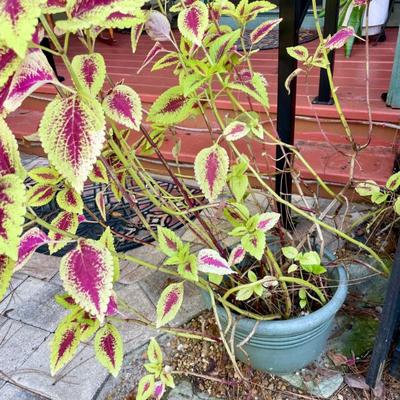 Sale Photo Thumbnail #161