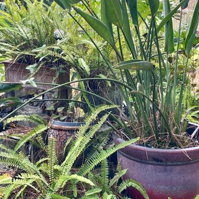 Sale Photo Thumbnail #11