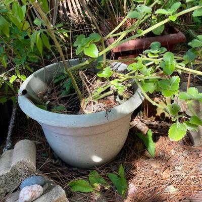 Sale Photo Thumbnail #165