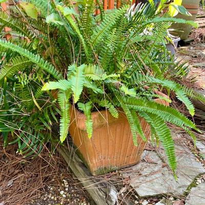 Sale Photo Thumbnail #162