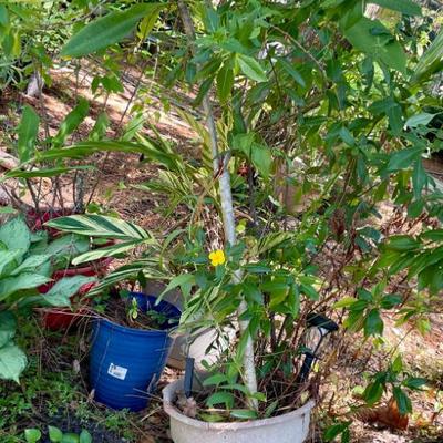 Sale Photo Thumbnail #151