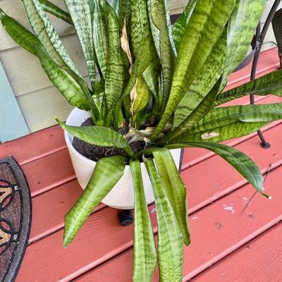 Sale Photo Thumbnail #156