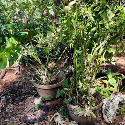 Sale Photo Thumbnail #169