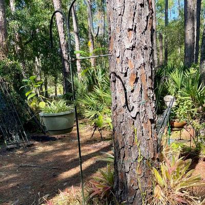 Sale Photo Thumbnail #153