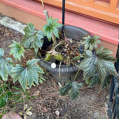 Sale Photo Thumbnail #159